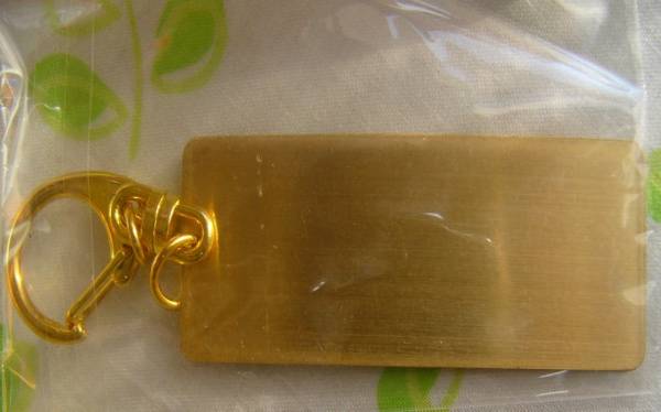 File:Augusta Challenge Key Ring 3.jpg