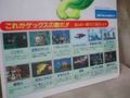 Gex Plastic Flyer