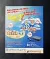 Taiketsu Rumiizu Flyer