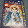 Princess Maker 2 Game Flyer